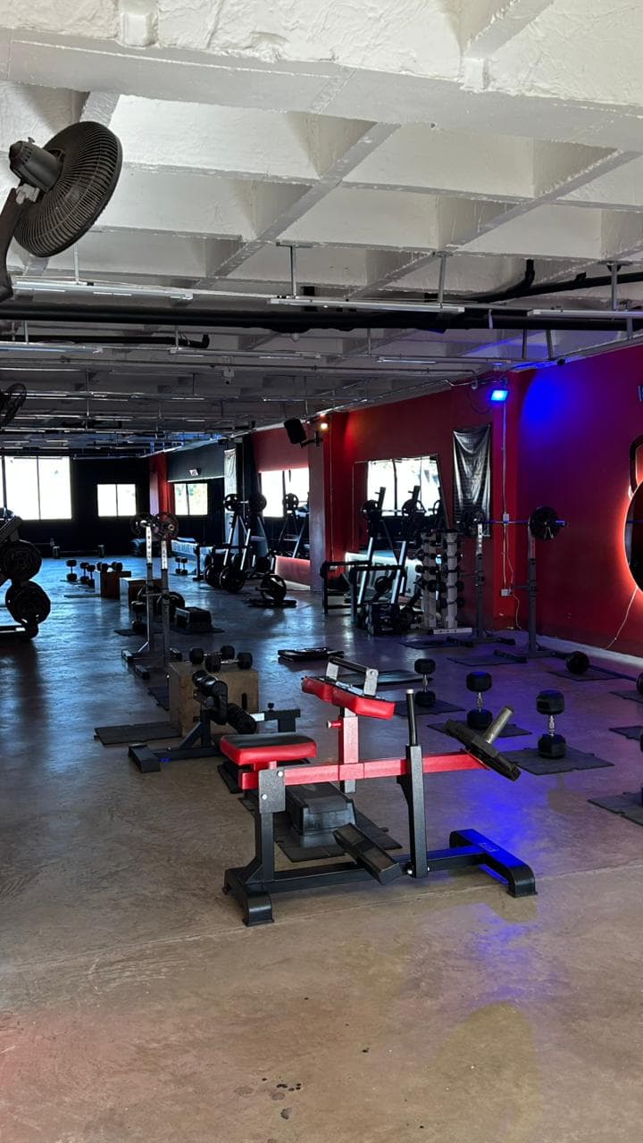 Sala principal de Energim con máquinas y equipos de musculación